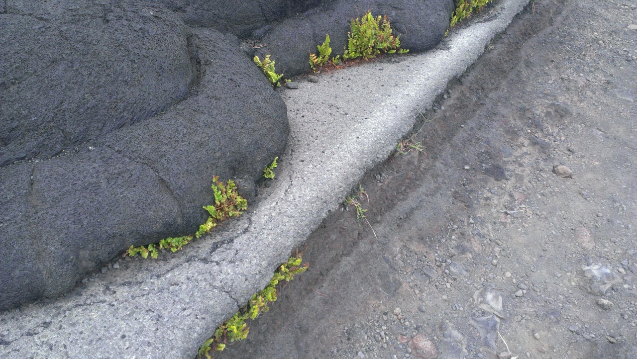 動脈硬化を予防するために効果的な食事は？