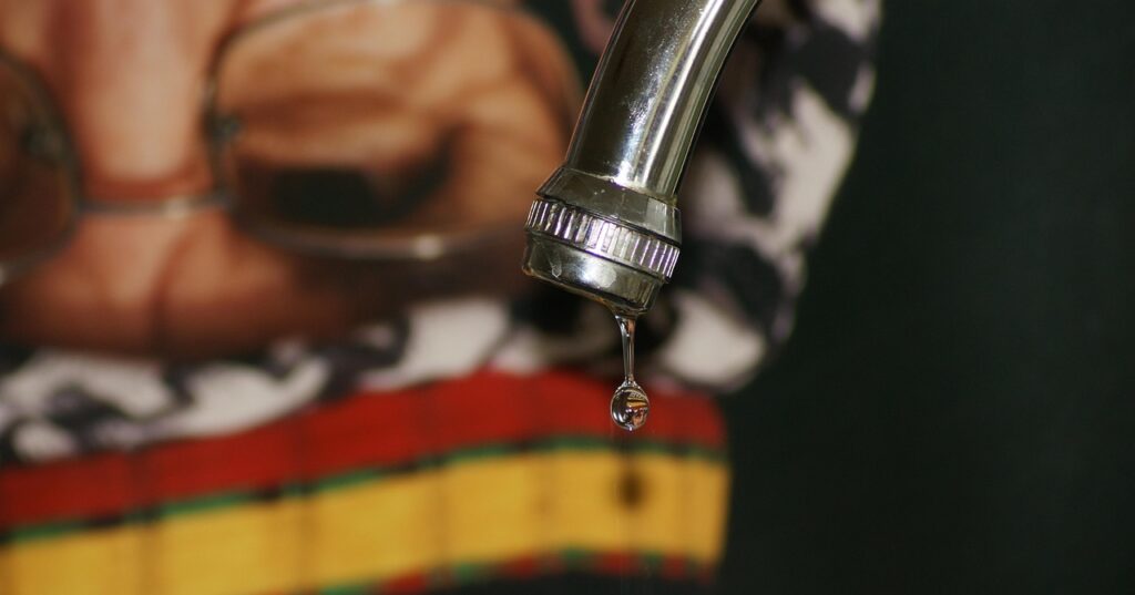 プリン体が痛風に関係ない理由とは？