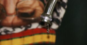 プリン体が痛風に関係ない理由とは？