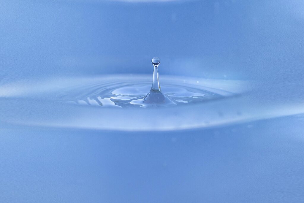 プリン体と痛風は本当に関係ないのか？