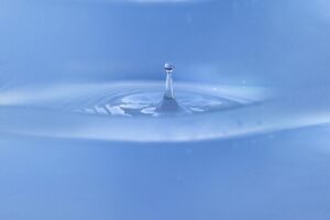 プリン体と痛風は本当に関係ないのか？