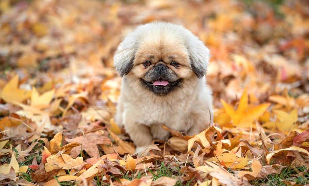 動脈硬化を改善するための食事にはどんな選択肢がある？