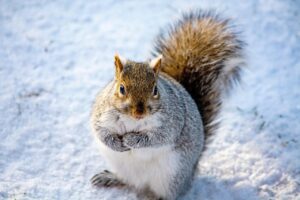 脂質異常症の症状がない場合、どのように対処すれば良いのか？